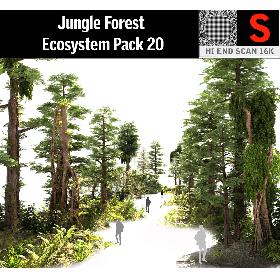 Jungle Forest  Ecosystem Pack 20 3D model